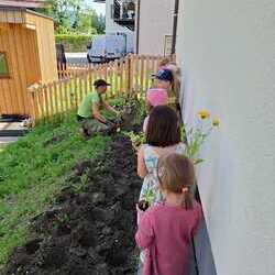 Tatkräftige Unterstützung gab es von den Kindern des Kindergartens Öblarn - die Kinder hatten viel Spaß beim pflanzen der Wildblumen