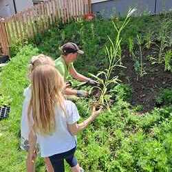 Tatkräftige Unterstützung gab es von den Kindern des Kindergartens Öblarn - die Kinder hatten viel Spaß beim pflanzen der Wildblumen