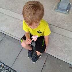 Tatkräftige Unterstützung gab es von den Kindern des Kindergartens Öblarn - die Kinder hatten viel Spaß beim pflanzen der Wildblumen