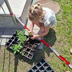 Tatkräftige Unterstützung gab es von den Kindern des Kindergartens Öblarn - die Kinder hatten viel Spaß beim pflanzen der Wildblumen
