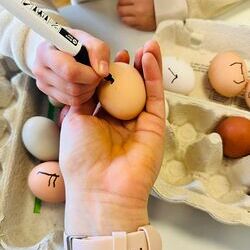 Eier