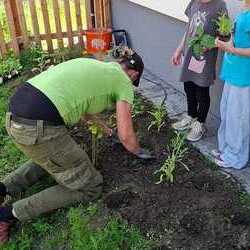 Tatkräftige Unterstützung gab es von den Kindern des Kindergartens Öblarn - die Kinder hatten viel Spaß beim pflanzen der Wildblumen